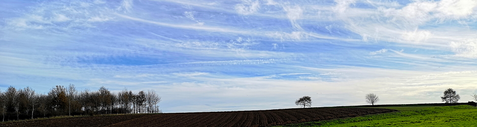 Hunters Lane, Metfield